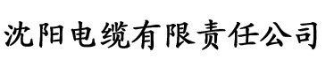 草莓视频污成年人电缆厂logo